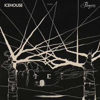 2LP Icehouse: Icehouse Plays Flowers CLR 260486