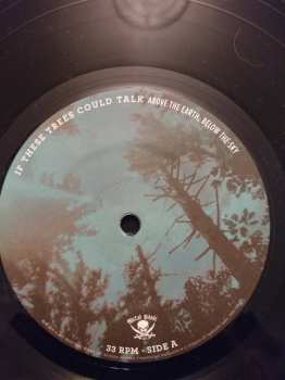 LP If These Trees Could Talk: Above The Earth, Below The Sky 383497