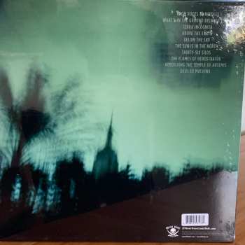 LP If These Trees Could Talk: Above The Earth, Below The Sky CLR