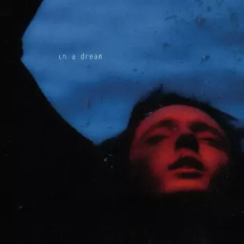 Troye Sivan: In a Dream