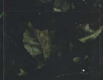 CD The Faceless: In Becoming A Ghost