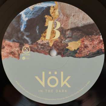 LP Vök: In The Dark 17710