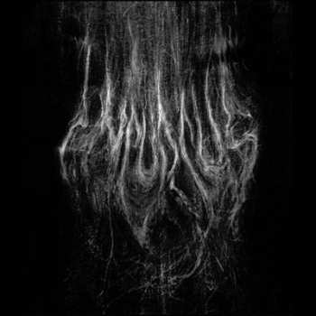 Album Incursus: Adaestuo