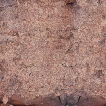 Indignant Senility: Consecration Of The Whipstain