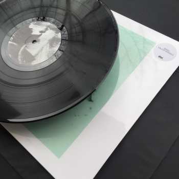 2LP Irakli: Major Signals