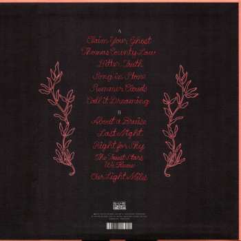 LP Iron And Wine: Beast Epic