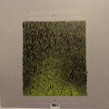 2LP Iron And Wine: Our Endless Numbered Days LTD | DLX | CLR 79972