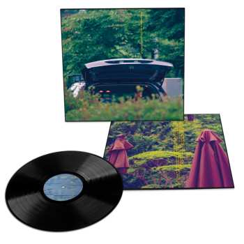 Album Jim O'Rourke: Pareidolia