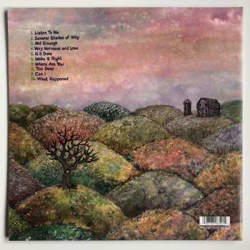 LP J Mascis: Several Shades Of Why 383414