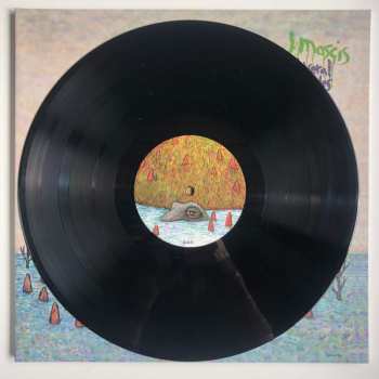 LP J Mascis: Several Shades Of Why 383414