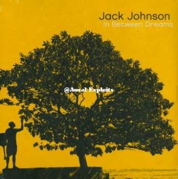 Album Jack Johnson: In Between Dreams
