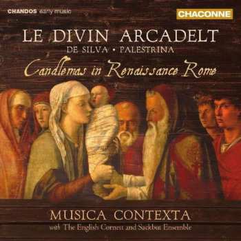 Album Jacques Arcadelt: Le Divin Arcadelt: Candlemas In Renaissance Rome