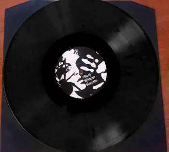 LP Jacula:  In Cauda Semper Stat Venenum 