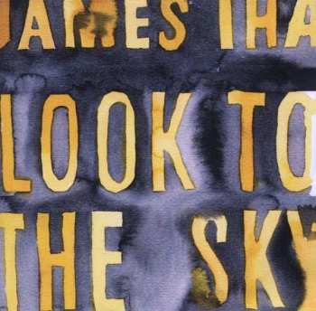 Album James Iha: Look To The Sky