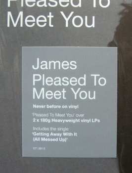 2LP James: Pleased To Meet You 503326