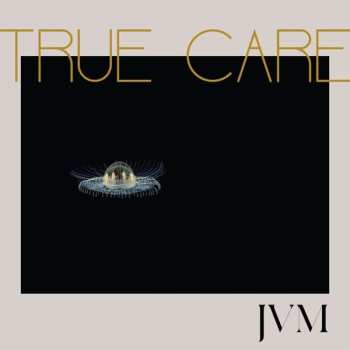 Album James Vincent McMorrow: True Care