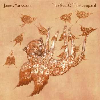2LP James Yorkston: The Year Of The Leopard 483443