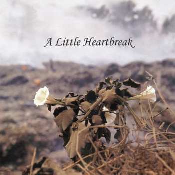 Album Jan Norris: A Little Heartbreak