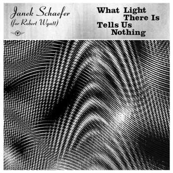 CD Janek Schaefer: What Light There Is Tells Us Nothing 458455