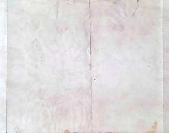 CD Janieck Devy: Survival Guide