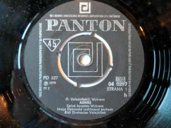 SP Jaroslav Wykrent: Agnes / Poslední Kytice