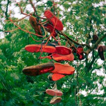 LP Javois,mees: Leaving