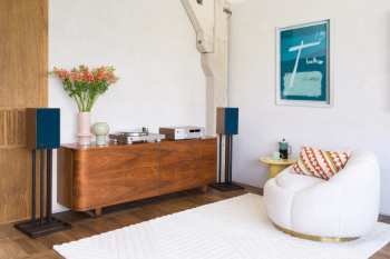 Audiotechnika JBL TT350 Ořech/Stříbrná