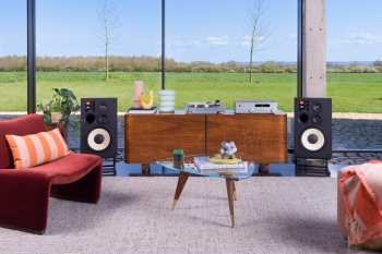 Audiotechnika JBL TT350 Ořech/Stříbrná