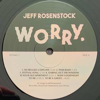 LP Jeff Rosenstock: Worry. 420647