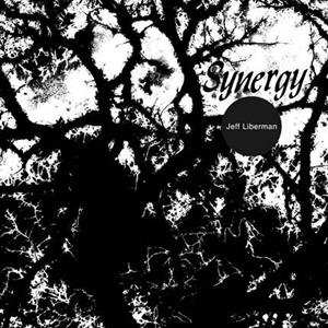 Album Jeffery Liberman: Synergy