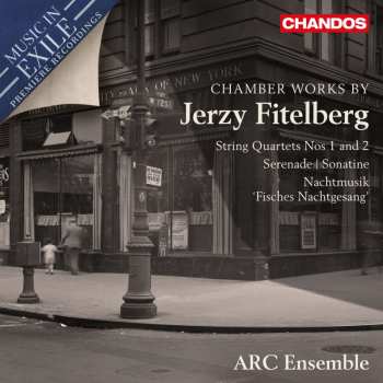 CD Jerzy Fitelberg: Chamber Works 527861