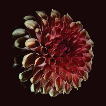 LP Jessica Moss: Unfolding (180g)