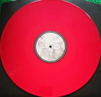 LP Luke Haines: Test Driving The New Prius (A Radio Play By Jim Fry And Luke Haines)