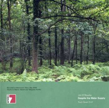 Album Jim O'Rourke: Despite The Water Supply