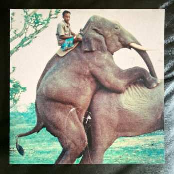 LP Jimmy Hunt: Maladie D'Amour