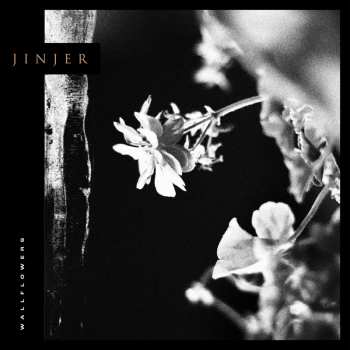 Album Jinjer: Wallflowers
