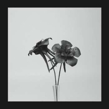 Album Jlin: Dark Lotus