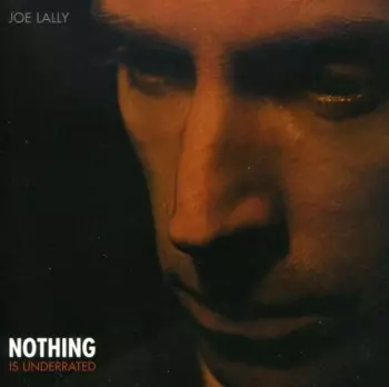 Joe Lally: Nothing Is Underrated