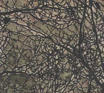 CD Joe Morris: Abstract Forest LTD