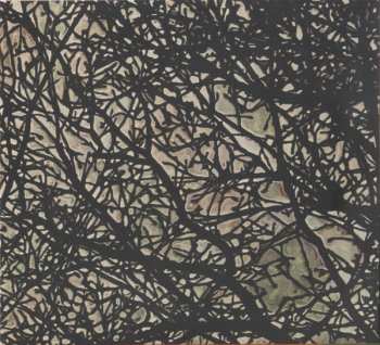 CD Joe Morris: Abstract Forest LTD