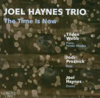 Joel Haynes Trio: The Time Is Now