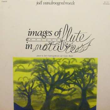 Album Joel Vandroogenbroeck: Images Of Flute In Nature