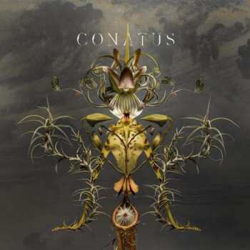 Album Joep Beving: Conatus