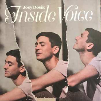 Album Joey Dosik: Inside Voice