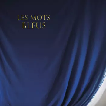 Johan Papaconstantino: Les Mots Bleus