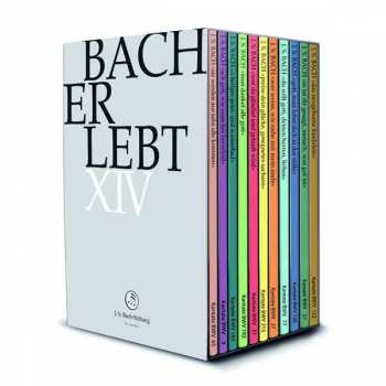 Album Johann Sebastian Bach: Bach-kantaten-edition Der Bach-stiftung St.gallen "bach Erlebt" - Das Bach-jahr 2020