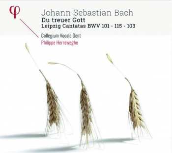 Album Johann Sebastian Bach: Du Treuer Gott: Leipzig Canatas BWV 101 - 115 - 103