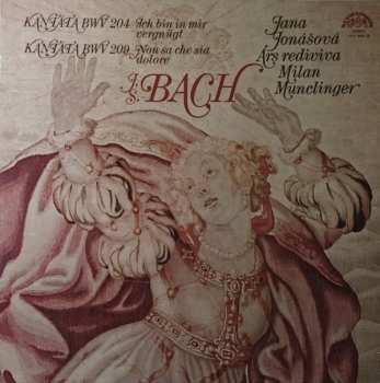 Album Johann Sebastian Bach: Kantáta BWV 204 Ich Bin In Mir Vergnügt / Kantáta BWV 209 Non Sa Che Sia Dolore
