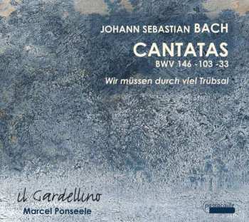 Album Johann Sebastian Bach: Kantaten Bwv 33, 103, 146