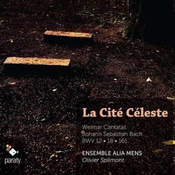 Album Johann Sebastian Bach: La Cite Céleste: Weimar Cantatas